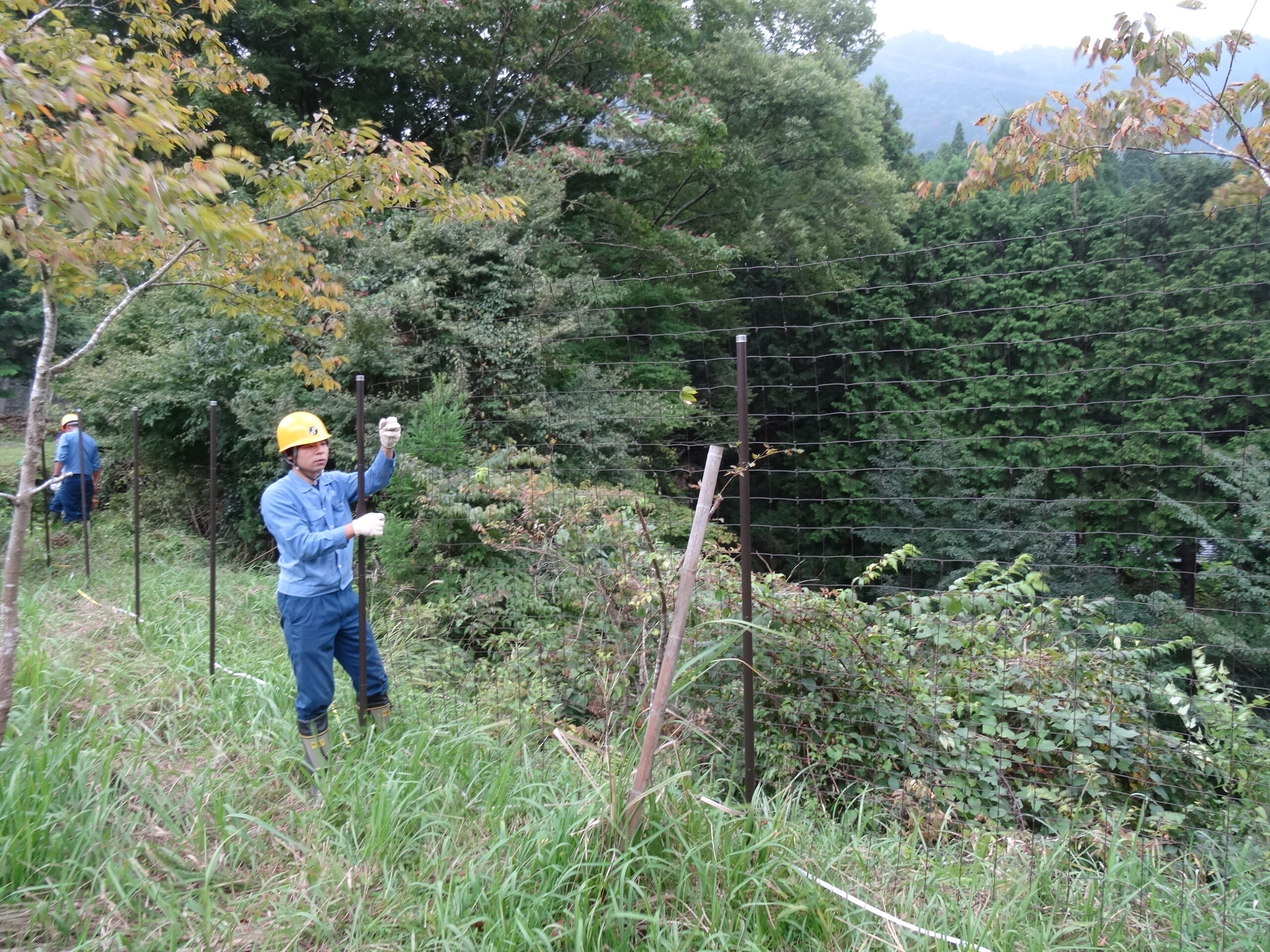 獣害対策・雑草管理・樹木保護施工